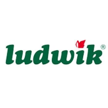 Ludwik