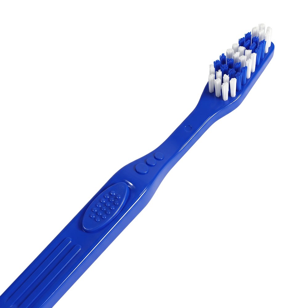 Economy Half (Blue)